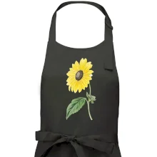 Slunečnice otočená