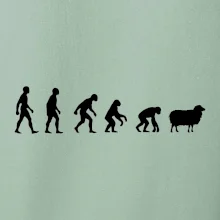 Evoluce ovce