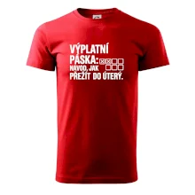 VÝPLATNÍ PÁSKA: Návod, jak přežít do úterý