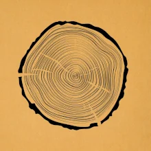 Letokruhy 45 bez věku