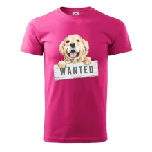 Zlatý retriever - štěně wanted
