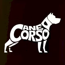 Cane corso nápis v těle