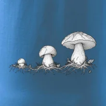 Životní cyklus hřibu