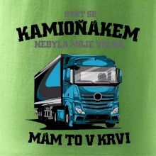 Stát se kamioňákem nebyla moje volba