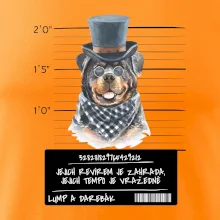 Lump a darebák rotvajler