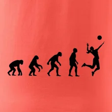 Evoluce volejbal culík