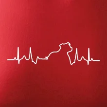 Stafordšírsky bulteriér EKG