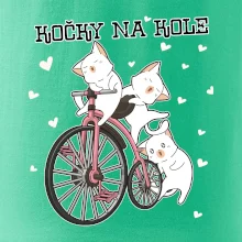 Kočky na kole