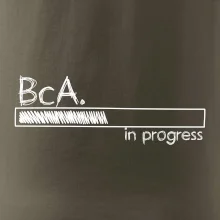 In progress  titul BcA. bakalář / bakalářka umění