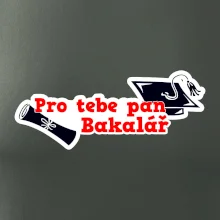 Pro tebe pan Bakalář