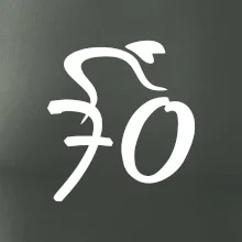 Cyklista slaví sedmdesátku (70)