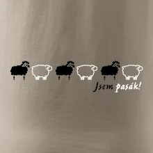 Jsem pasák - ovce v řadě
