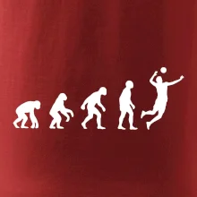 Evoluce volejbal muž