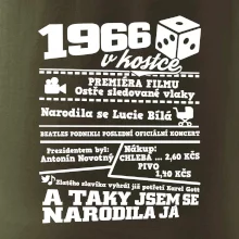 1966 v kostce