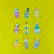 Barevní brouci (studio-arte.cz)