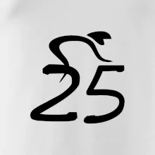 Cyklista slaví pětadvacítku (25)