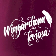 Harry - Wingardium Leviosa