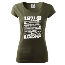 1971 v kostce