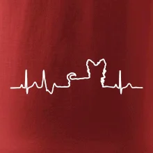 Jorkšírský teriér EKG