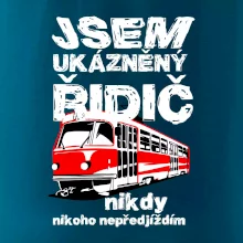 Jsem ukázněný řidič - tramvaj