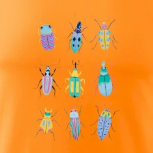 Barevní brouci (studio-arte.cz)