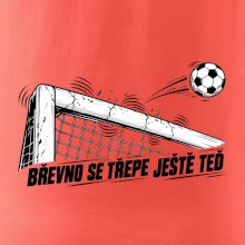 Břevno se třepe ještě teď