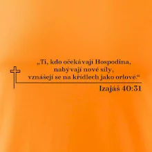 Citáty z bible - Izajáš 40:31