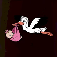 Čáp a miminko - holka (Hana-creative)