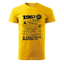 1963 v kostce