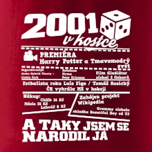 2001 v kostce