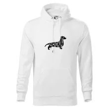 Jezevčík - Dachshund