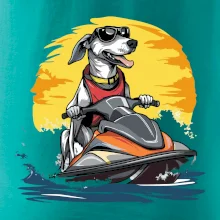 Chrt na vodním skútru