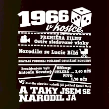 1966 v kostce