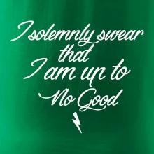 I solemnly swear that I'm up to no good