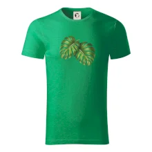 Monstera - dva listy Monstera - dva listy