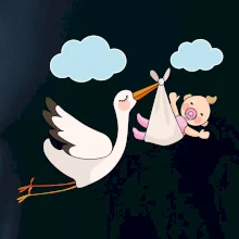 Čáp čekáme miminko - holka