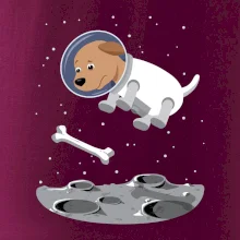 Pes ve vesmíru (Hana-creative)