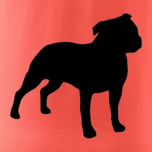 Americký stafordširský teriér  Na prsu