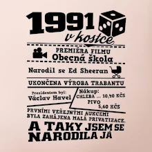 1991 v kostce