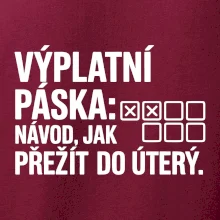 VÝPLATNÍ PÁSKA: Návod, jak přežít do úterý