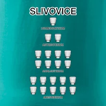 Slivovice počítání (Hana-creative)