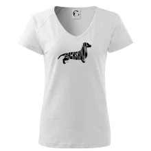 Jezevčík - Dachshund