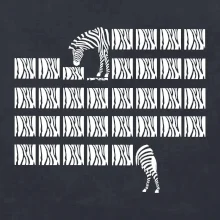 Zebra dlouhá
