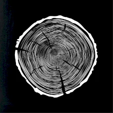 Letokruhy 95 bez věku