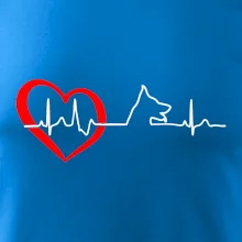 Německý ovčák ekg