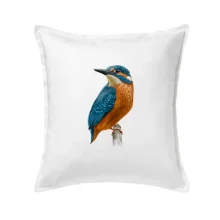 Lednáček kreslený