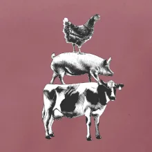 Slípka prase kravka