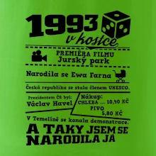 1993 v kostce
