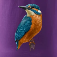 Lednáček kreslený