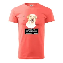 Lump a darebák labrador